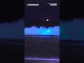 People boogie board through bioluminescent waves
