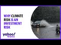 Climate risk is investment risk, Climate Insights founder explains