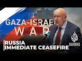 Israel-Gaza war: Russia calls for immediate ceasefire at UNSC meeting