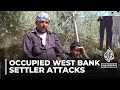Occupied West Bank: Israeli settler attacks pushing out Palestinian bedouins