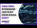 Hedge funds withdrawing cash to buy stocks in bulk: Survey