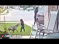 Video captures mother saving toddler attacked by dog