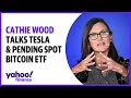 Cathie Wood talks Tesla, Elon Musk, and pending spot bitcoin ETF