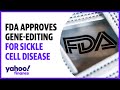 FDA approves gene-editing therapy for sickle cell disease