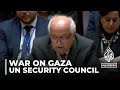 UN vote on humanitarian aid: Security Council passes Gaza resolution