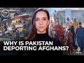 Why are so many Afghans being kicked out of Pakistan? | Start Here
