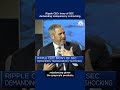 Ripple CEO: Irony of SEC demanding transparency is shocking