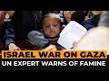 UN expert says Gaza might already be in famine | Al Jazeera Newsfeed