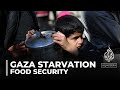 Millions at risk of famine in Gaza: Lack of food pushing people to brink of starvation