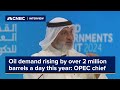 Oil demand rising by over 2 million barrels a day this year: OPEC chief
