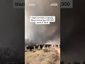 Texas cattle stampede away from plumes of smoke as wildfires force thousands to evacuate.