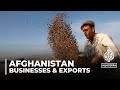 Afghanistan economy: Businesses try to stay afloat amid restrictions
