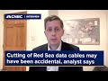 Cutting of Red Sea data cables may have been accidental, analyst says