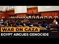 Egypt deals ‘diplomatic blow’ to Israel by joining ICJ genocide case | Al Jazeera Newsfeed