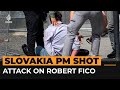 Slovakia Prime Minister Robert Fico shot while meeting supporters | AJ #Shorts