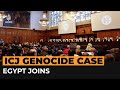 Why Egypt joining ICJ case against Israel is 'unprecedented’ | Al Jazeera Newsfeed