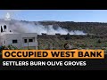 Israeli settlers set fire to olive groves in the occupied West Bank | AJ #Shorts