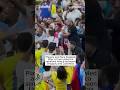 Players and fans brawled after a Copa America semifinal match between Uruguay and Colombia