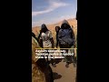 Asylum seekers and migrants say Tunisian police left them in desert | AJ #shorts