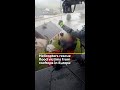 Helicopters rescue flood victims from rooftops in Europe | AJ #shorts