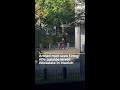 Man seen firing antique rifle outside Israeli consulate in Germany | AJ #shorts