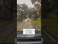 Tree falls in front of police car in Florida during Milton