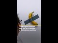 Going bananas: Duct-taped fresh fruit sells for millions at Sotheby’s | AJ #shorts