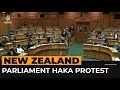 Maori politicians disrupt New Zealand parliament vote with haka | AJ#shorts