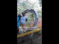 500-kilogram metallic object falls from the sky in Kenya | AJ#shorts